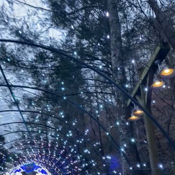 Dollywood - This looks even better when it's dark.. - Amusement Parks Near Me - Pigeon Forge, Tennessee Dollywood - This looks even better when it's dark.. - Amusement Parks Near Me - Pigeon Forge, Tennessee