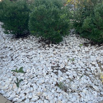 Casa Pearl - Landscape is covered in oysters! - Seafood Near Me - Williamsburg, Virginia