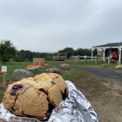 Rice Fruit Farm - Blueberry Cream Cheese Muffin Top