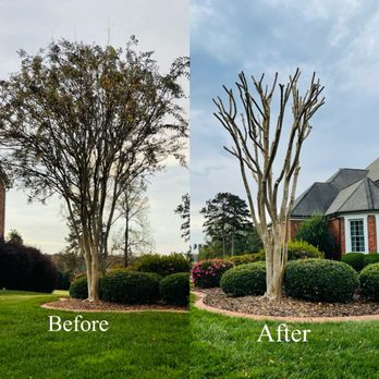 Triple A Tree Service - Tree Services Near Me - Greensboro, North Carolina Triple A Tree Service - Tree Services Near Me - Greensboro, North Carolina