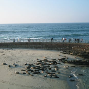 La Jolla Cove - Parks Near Me - La Jolla, California La Jolla Cove - Parks Near Me - La Jolla, California