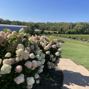 Brook Hollow Winery - Wineries Near Me - Columbia, New Jersey