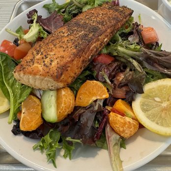 Cafe Balkan - The salmon salad special. - Modern European Near Me - Phoenix, Arizona