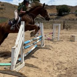 Santa Clarita Valley Equestrian Center