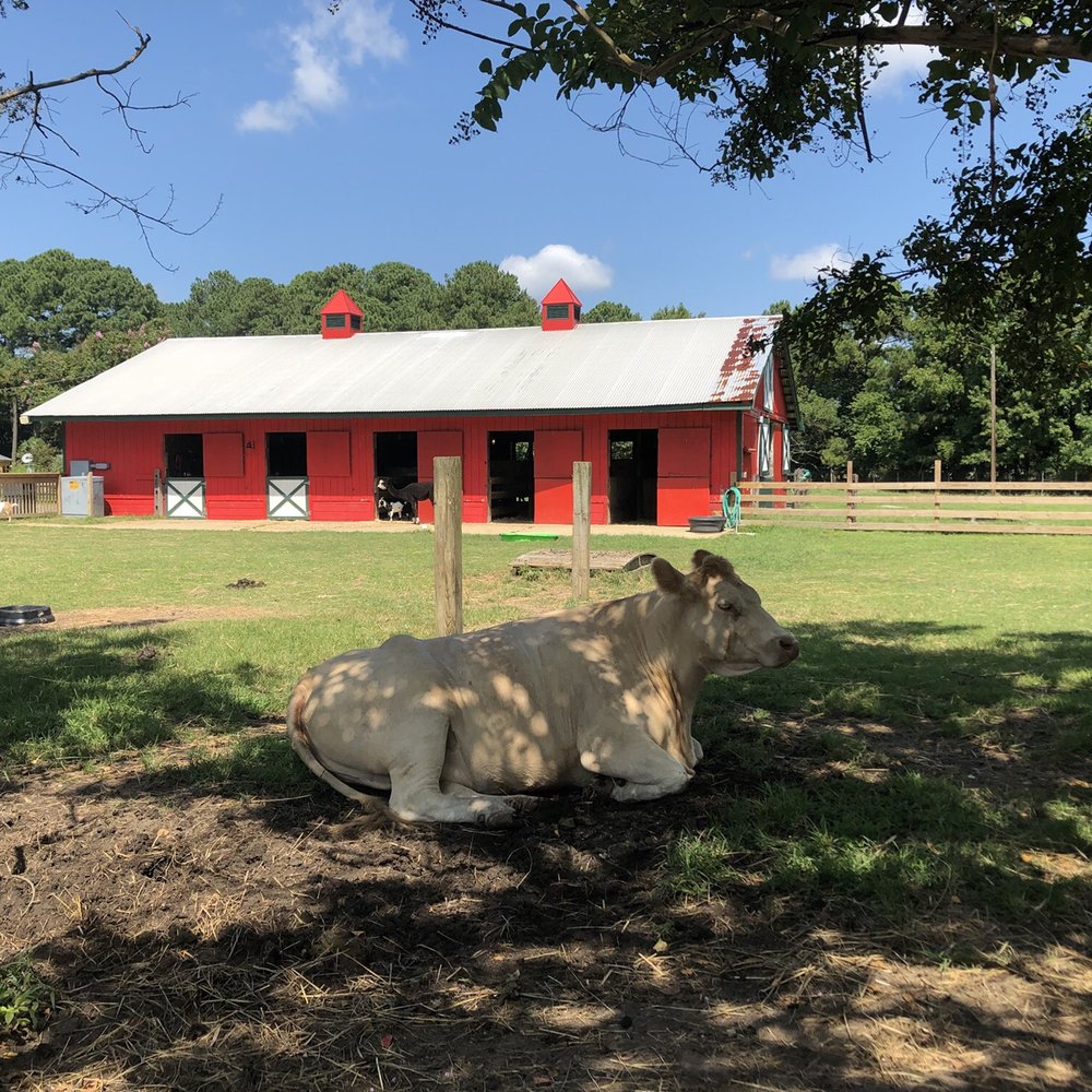Bluebird Gap Farm - Parks Near Me - Hampton, Virginia Bluebird Gap Farm - Parks Near Me - Hampton, Virginia