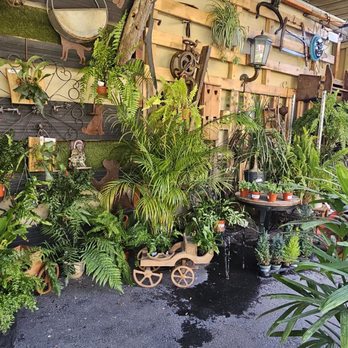 Forever Plants Plus - Nurseries & Gardening Near Me - Seaside, California