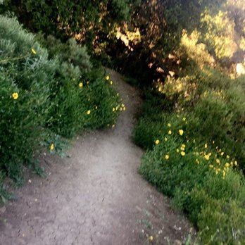 Paradise Falls - Beautiful trail leading out of the park from the cave - Hiking Near Me - Thousand Oaks, California Paradise Falls - Beautiful trail leading out of the park from the cave - Hiking Near Me - Thousand Oaks, California
