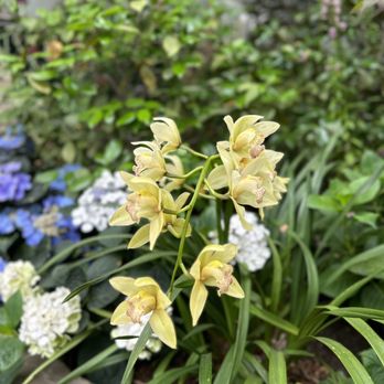Garfield Park Conservatory - Parks Near Me - Chicago, Illinois