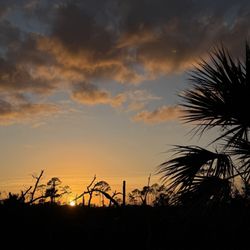 Castaway Island Preserve