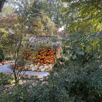 Dixon Gallery & Gardens - Pumpkin house - Museums Near Me - Memphis, Tennessee Dixon Gallery & Gardens - Pumpkin house - Museums Near Me - Memphis, Tennessee
