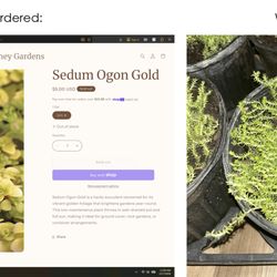 Verona Caney Gardens & Landscaping