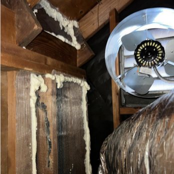 Attica Green Solution - Excellent rodent exclusion work. And they installed an attic fan. - Insulation Installation Near Me - Escondido, California Attica Green Solution - Excellent rodent exclusion work. And they installed an attic fan. - Insulation Installation Near Me - Escondido, California