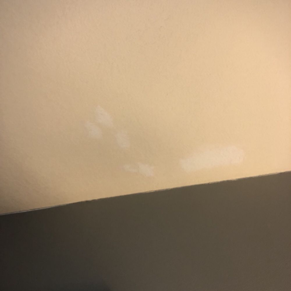 Hilton Garden Inn Independence - Ceiling repairs not painted or blended in. - Hotels Near Me - Independence, Missouri Hilton Garden Inn Independence - Ceiling repairs not painted or blended in. - Hotels Near Me - Independence, Missouri