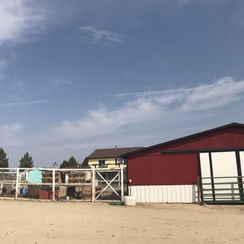 Colorado Equine Specialist - Grounds - Animal Assisted Therapy Near Me - Parker, Colorado