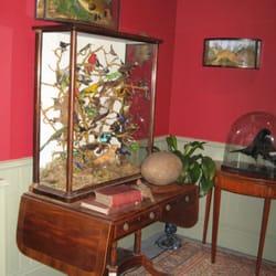 Booth Museum Of Natural History - One of the display cases, in arecreated Victorian Room.