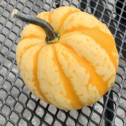 Cute fall tables outdoors. Cute fall tables outdoors.
