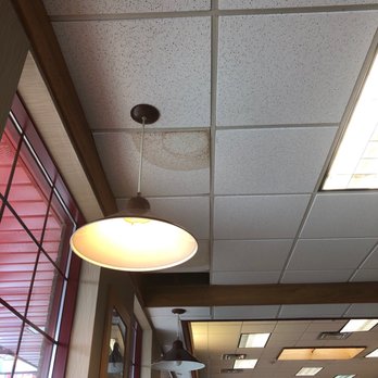 Wendy's - Couldn't get the dead fly in the same picture. - Burgers Near Me - Brown Deer, Wisconsin Wendy's - Couldn't get the dead fly in the same picture. - Burgers Near Me - Brown Deer, Wisconsin