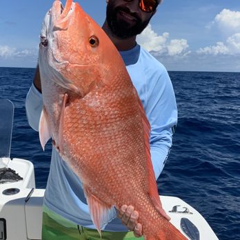 Fintastic Fishing Charters - Big Red Snapper are plentiful, delicious and put up a great fight. - Fishing Near Me - Madeira Beach, Florida Fintastic Fishing Charters - Big Red Snapper are plentiful, delicious and put up a great fight. - Fishing Near Me - Madeira Beach, Florida