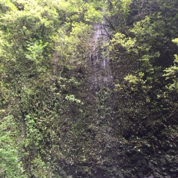 Lulumahu Falls - Hiking Near Me - Honolulu, Hawaii Lulumahu Falls - Hiking Near Me - Honolulu, Hawaii