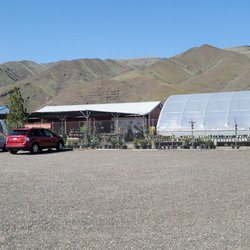 Patt's Garden Center