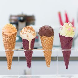 Wanderlust Creamery