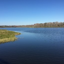 Lake Lotus