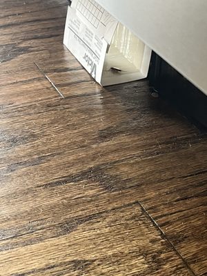 The Statler Residences by null