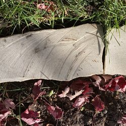 Magnolia - Magnolia Landscape and design. Also known as Masonry and are still active in Cologne Mn. Poor workmanship and warranty.
