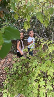 Whittier Narrows Natural Area by null