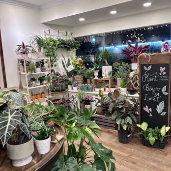 Sunroom Plants - Nurseries & Gardening Near Me - Ridgewood, New Jersey