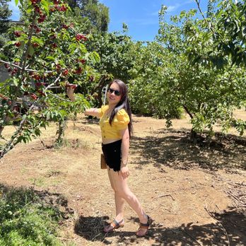 Guldseth Cherry Orchard and Vegetable Garden - Pick Your Own Farms Near Me - Cherry Valley, California Guldseth Cherry Orchard and Vegetable Garden - Pick Your Own Farms Near Me - Cherry Valley, California