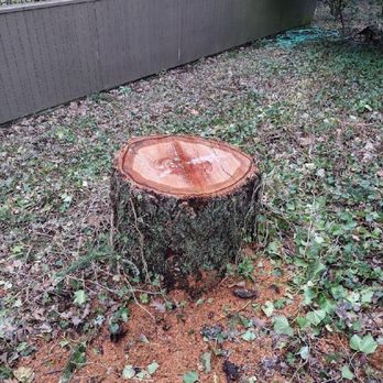 RMAC Tree Service - Tree Services Near Me