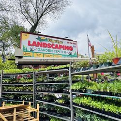 Diyarza Landscaping - Baby Plants, new sign