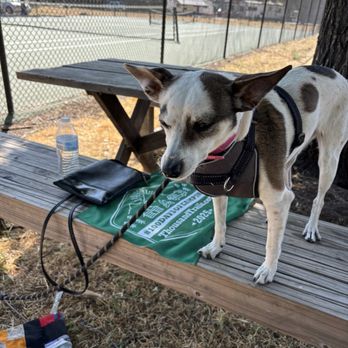 Thousand Trails Morgan Hill - Ruby waiting to go walking - RV Parks Near Me - Morgan Hill, California Thousand Trails Morgan Hill - Ruby waiting to go walking - RV Parks Near Me - Morgan Hill, California