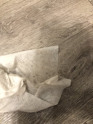 The Baxter Decatur Apartments by null