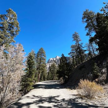 Bristlecone Trail - VIEWS - Hiking Near Me - Mount Charleston, Nevada