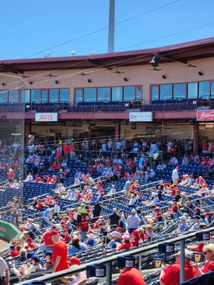 BayCare Ballpark by null