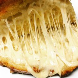 Cheese Shop 831