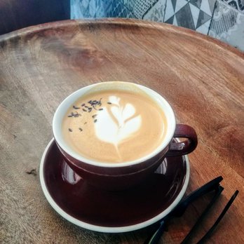 Owl And Lark - Lavender honey latte - Coffee & Tea Near Me - La Grange, Illinois Owl And Lark - Lavender honey latte - Coffee & Tea Near Me - La Grange, Illinois