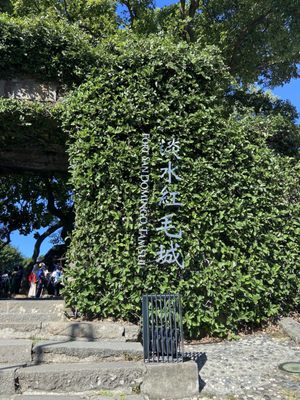 Fort San Domingo by null