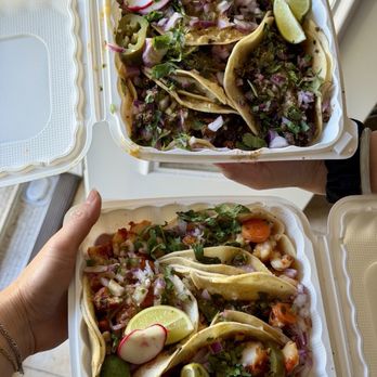 Speedy's Tacos - top box: 2 al pastor tacos, 2 carne asada tacos bottom box: 2 fish tacos, 2 shrimp tacos - Mexican Near Me - Sunnyvale, California Speedy's Tacos - top box: 2 al pastor tacos, 2 carne asada tacos bottom box: 2 fish tacos, 2 shrimp tacos - Mexican Near Me - Sunnyvale, California