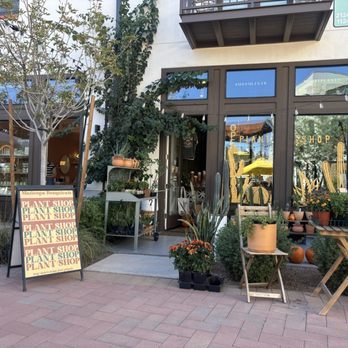 Maricopa Botanicals - The store front of the plant shop beautiful calm community - Nurseries & Gardening Near Me - Tempe, Arizona
