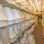 Photo of Legend Lampshades