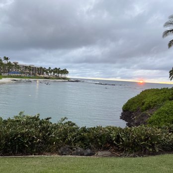 The Coffee Shack - Coffee & Tea Near Me - Captain Cook, Hawaii