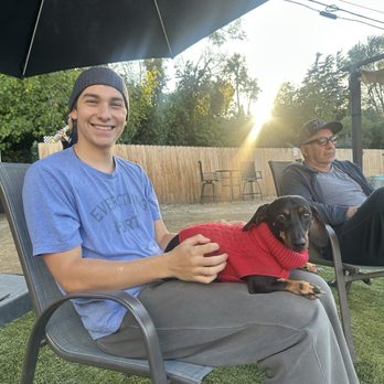 St Barks - Dog Parks Near Me - STUDIO CITY, California St Barks - Dog Parks Near Me - STUDIO CITY, California