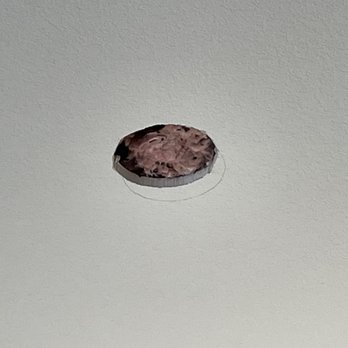 Terminix - Ceiling cut outs and rat droppings. - Pest Control Near Me - Laguna Hills, California Terminix - Ceiling cut outs and rat droppings. - Pest Control Near Me - Laguna Hills, California