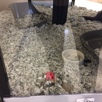 Petco - Pet Training Near Me - Birmingham, Alabama
