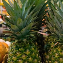 Richardson Farms - Pick up a Pineapple