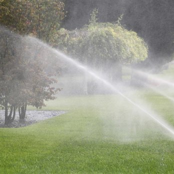 Steve FitzPatrick - Irrigation Near Me Steve FitzPatrick - Irrigation Near Me