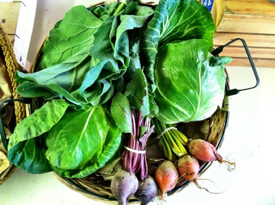 Blue Moon Acres Buckingham, PA by null